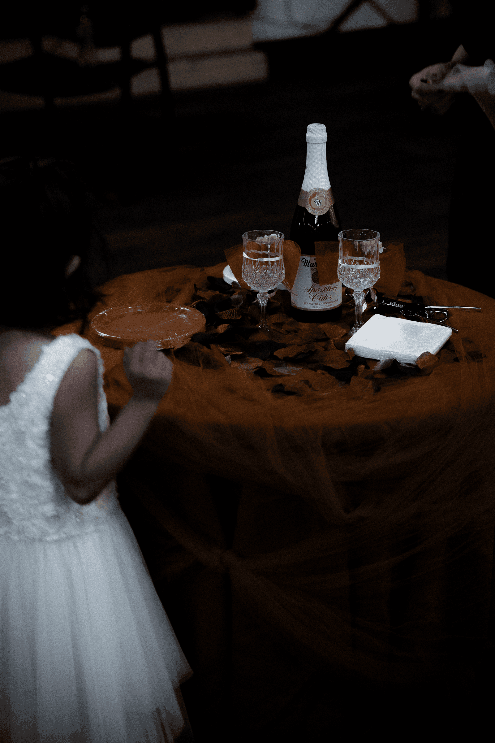 Weddings photography in Lincoln, Nebraska by NVAR Studios — A7406019